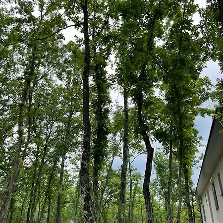 וילה Luxury Mojito *