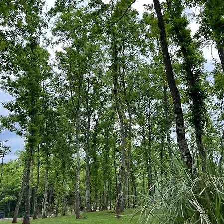 Luxury Mojito וילה