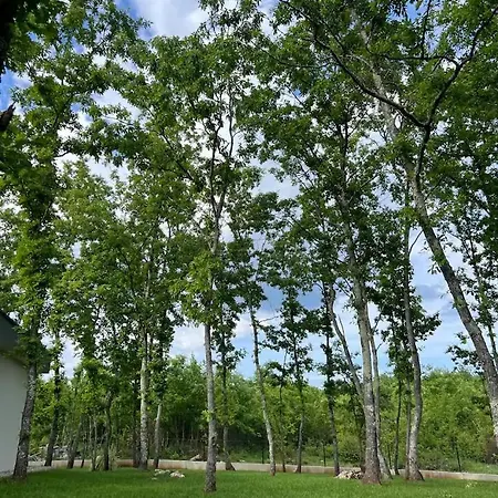 Luxury Mojito שירוקי ברייג'