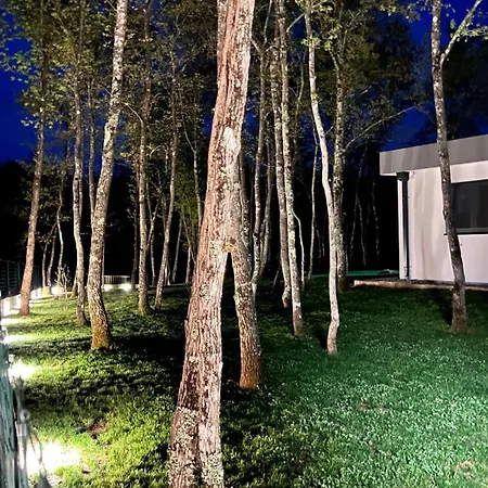 Luxury Mojito 别墅