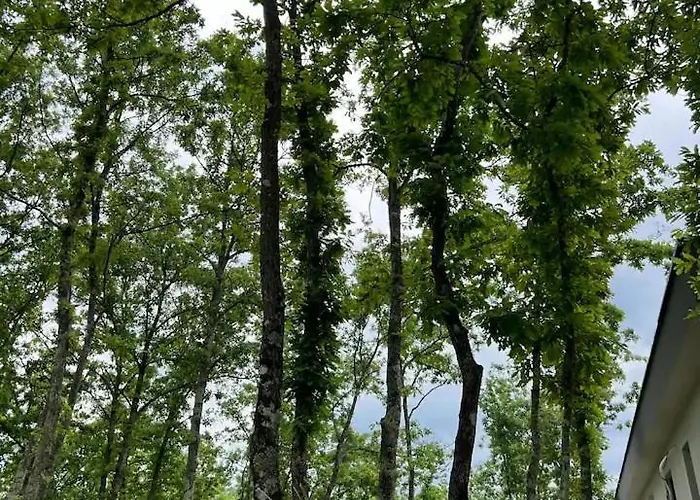 别墅 Luxury Mojito *