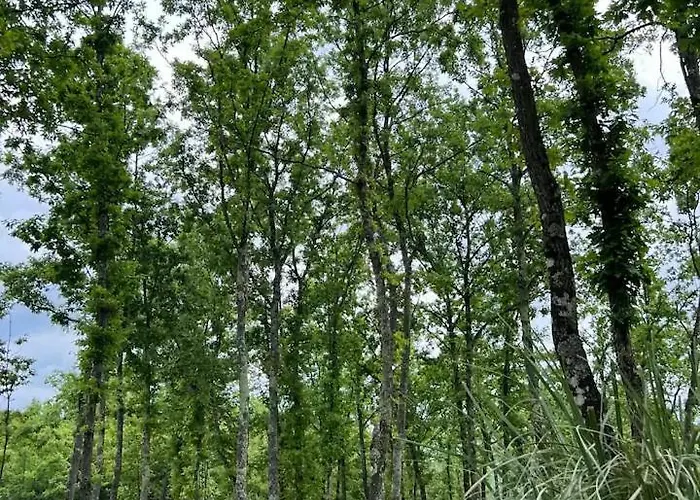 Luxury Mojito 别墅