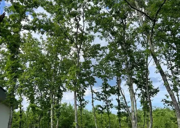 Luxury Mojito Široki Brijeg